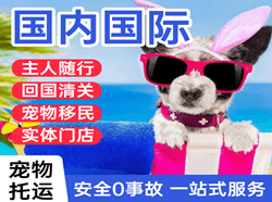盐城机场空运国际宠物托运 【国